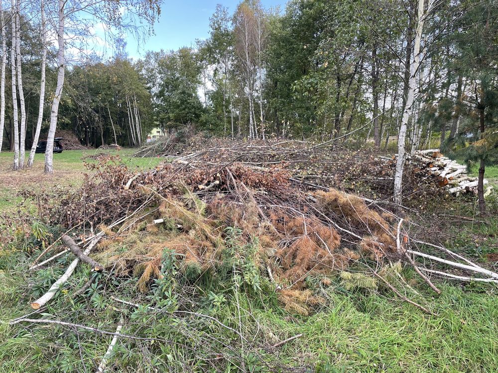 Oddam gałęzie drewno opał biomasa zrębki