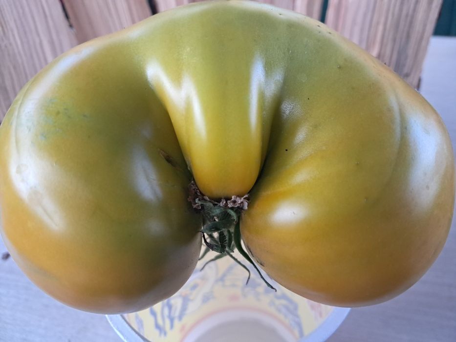 Семена помидор киви