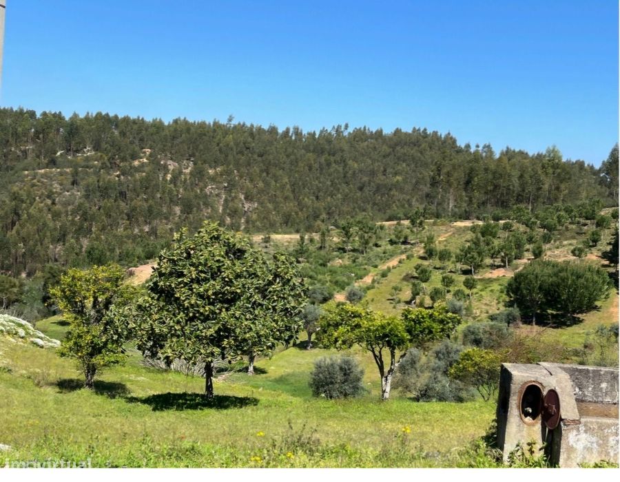 Terreno, Aldeia do Mato e Souto