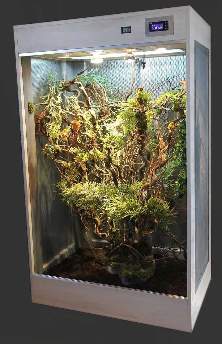 Terrarium dla kameleona na zamówienie