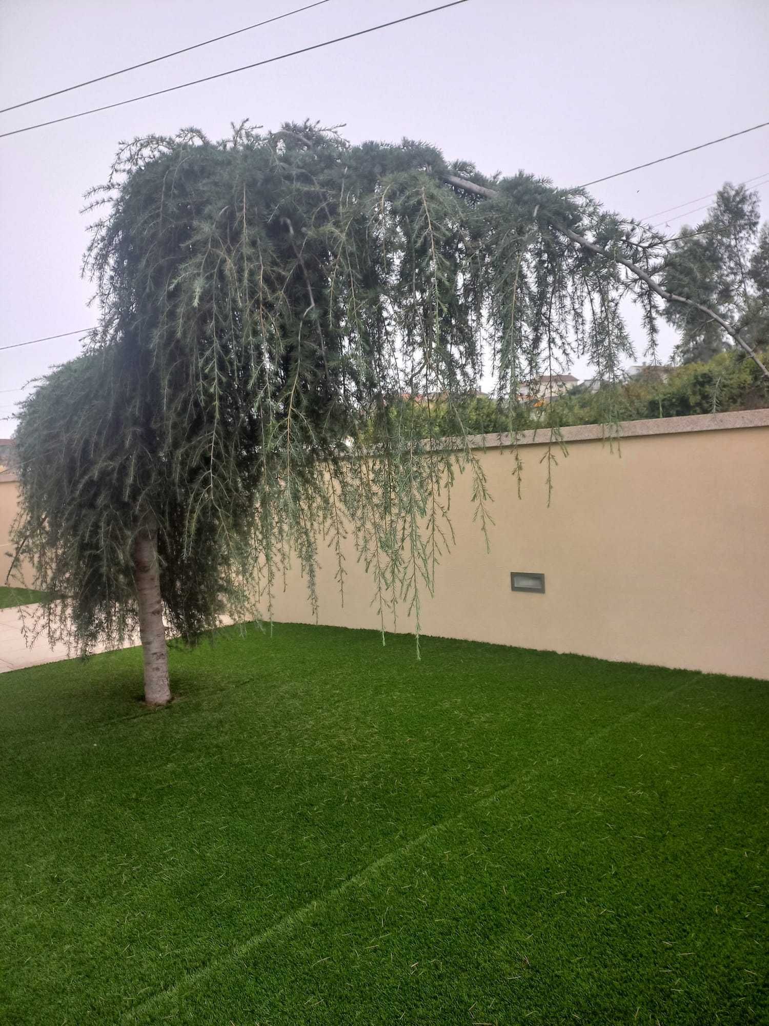 Árvore de jardim para efeitos com gosto