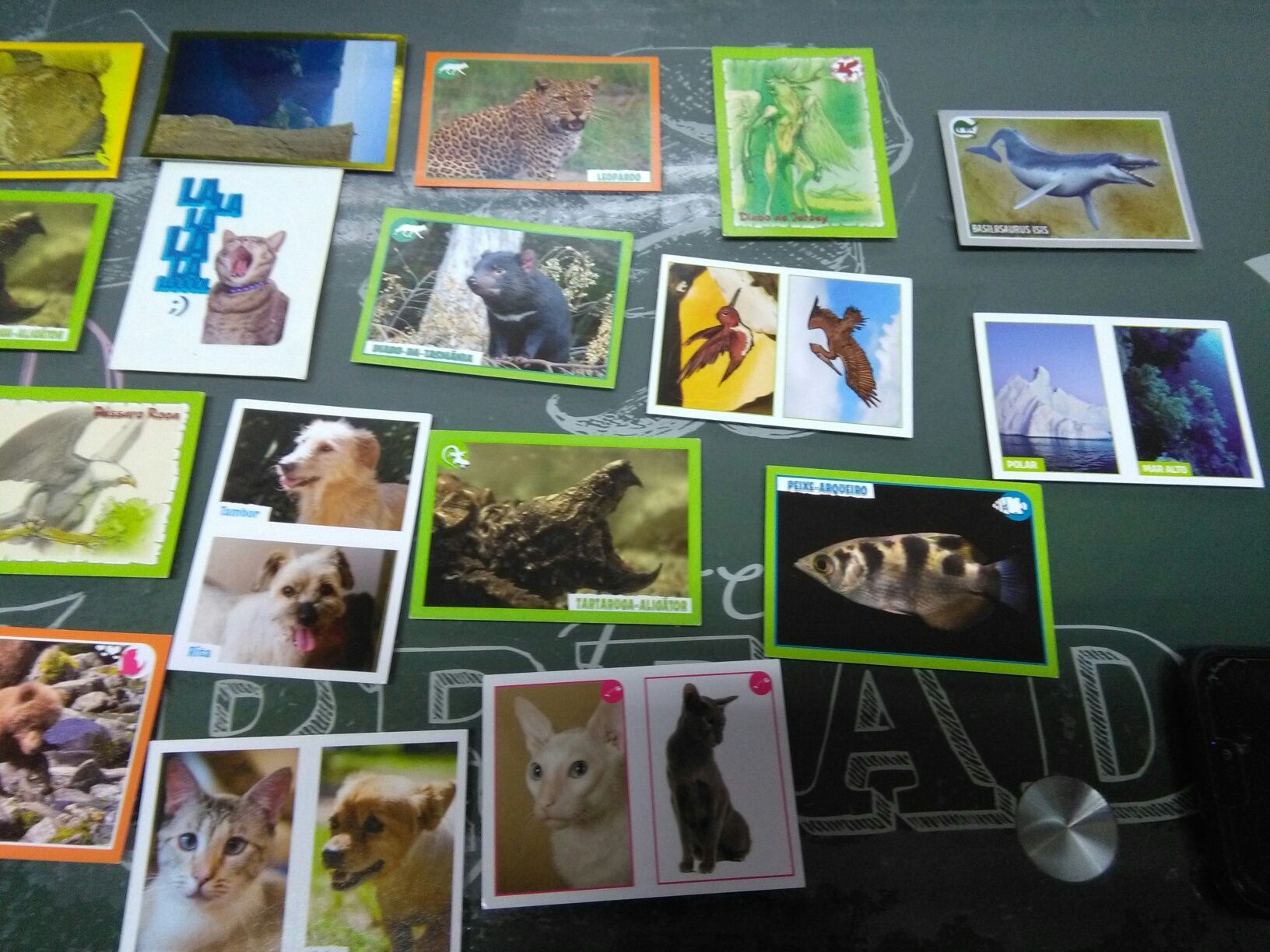 Cartas Caderneta National Geographic e Caderneta Animais