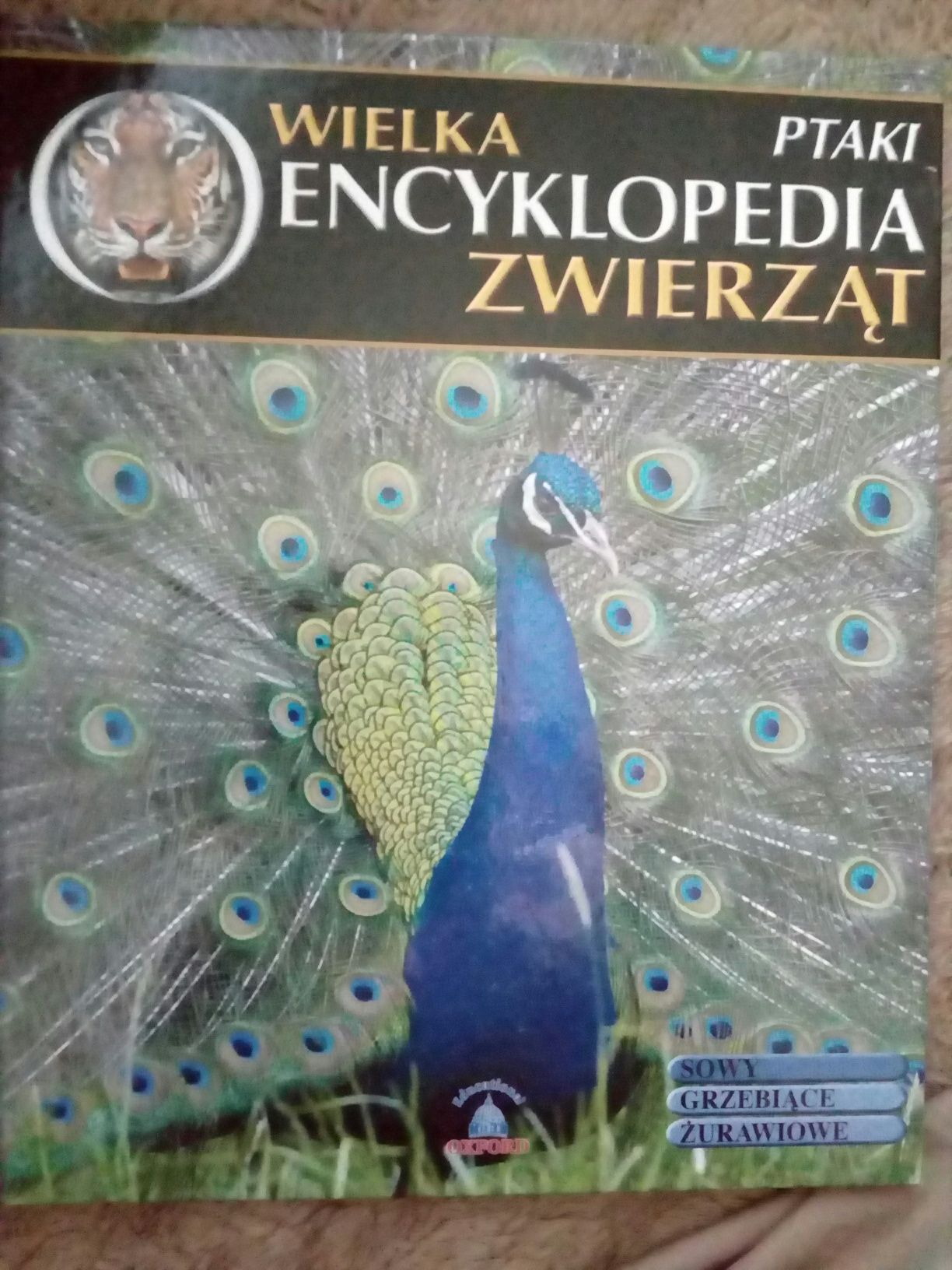 Wielka Encyklopedia Zwierząt. Ptaki t. 11