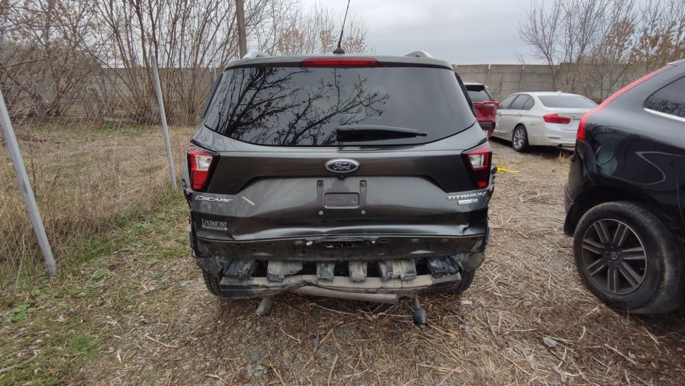 Ляда (кришка багажника) Ford Escape (Kuga) Titanium (MK3) 2019 рік.