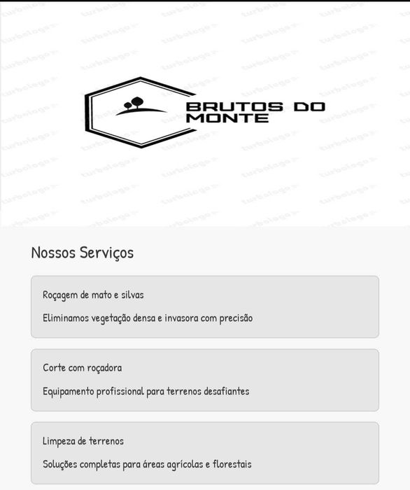 Brutos do monte limpeza de terrenos