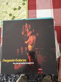 Vinil Shegundo Galarza