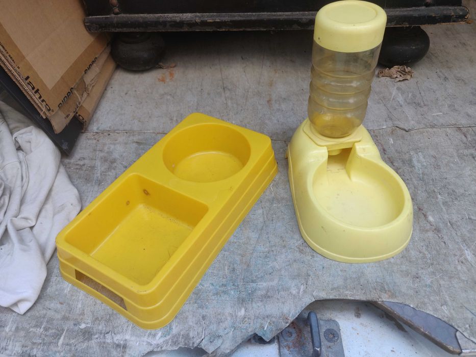 bebedor e comedor para animais