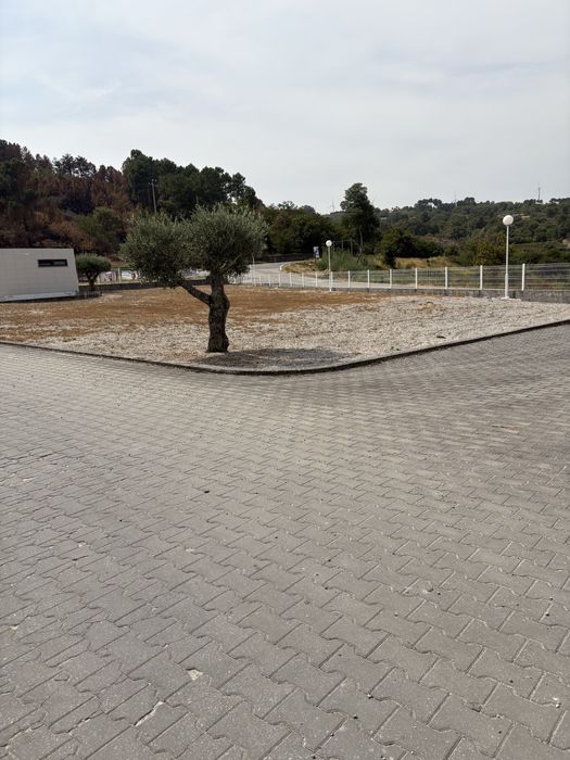 Aluguer de espaco 1000m2