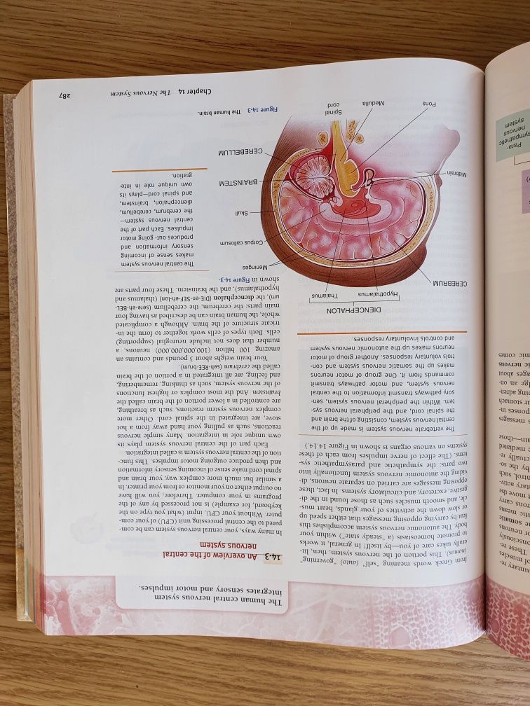 Livro Biology -understanding life