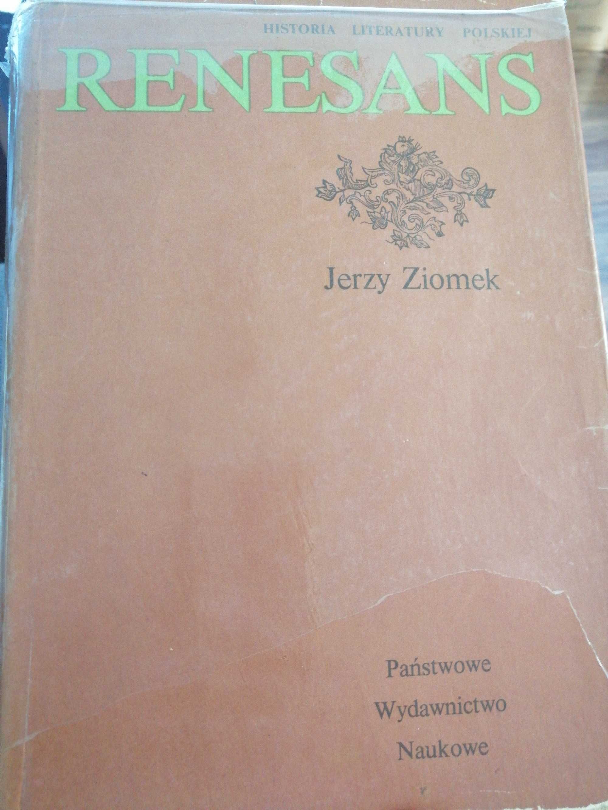 Renesans, Jerzy Ziomek