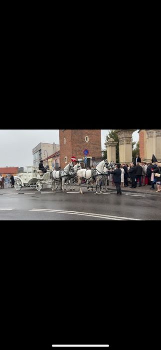 Bryczką do ślubu, niezapomniana przygoda! Cała Polska !