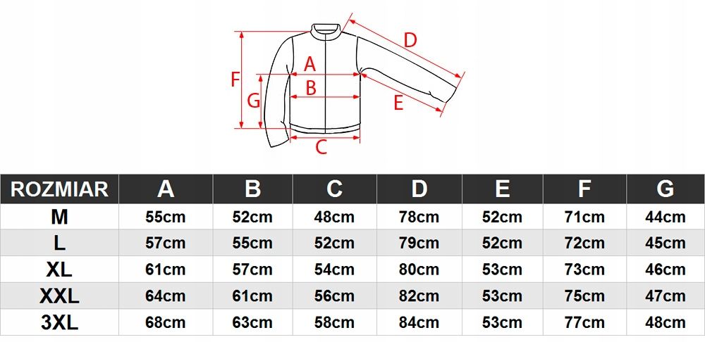 4f Męski Dres Bawełna Komplet Bluza Spodnie / L