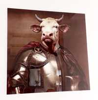 Grafika KARE DESIGN Knight Cow 120x120 cm