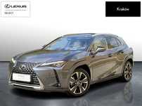 Lexus UX 300h Omotenashi AWD