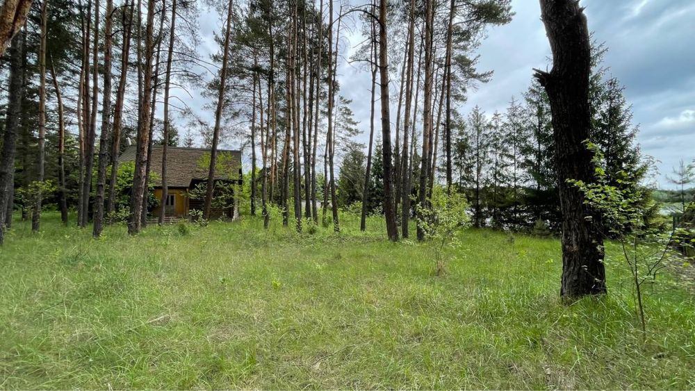 Продаж ділянки з сосновим лісом та виходом до річки Стугна та Дніпро