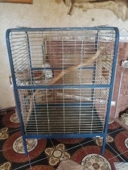 Продам вальер (для большого папугая)