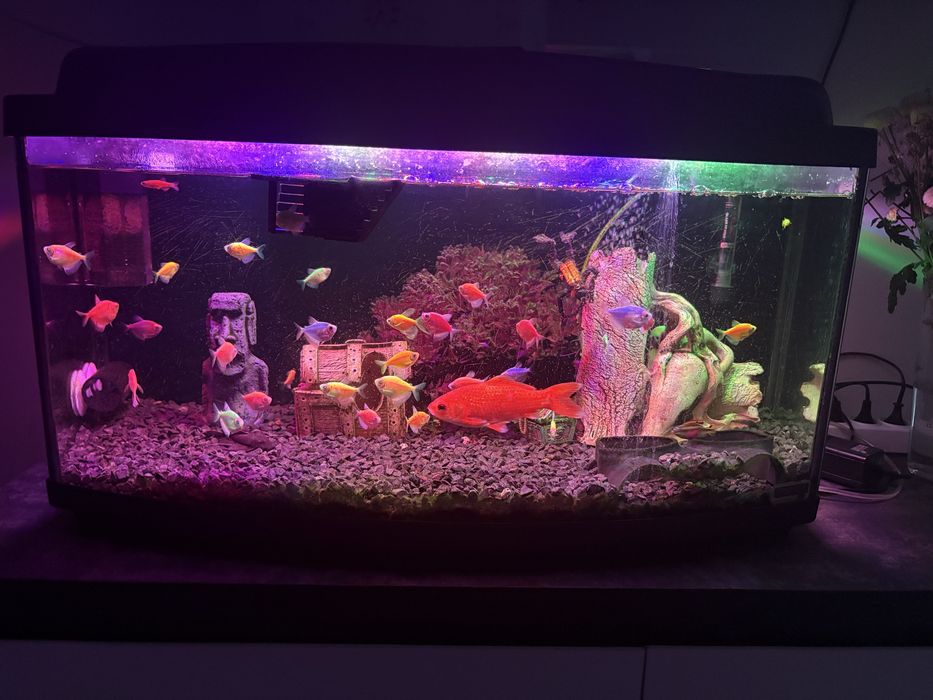 Акваріум 100 літрів