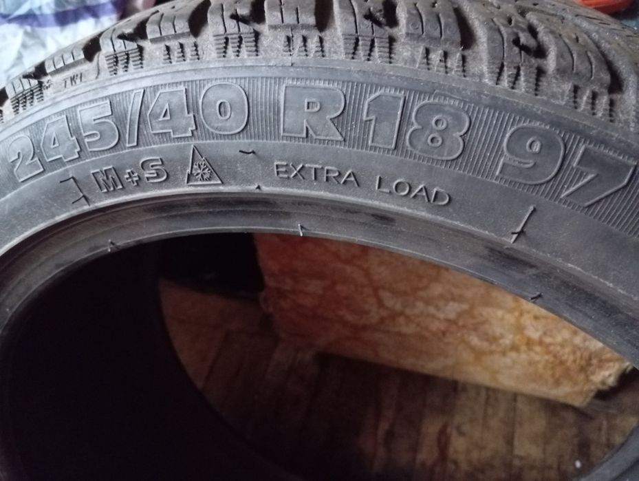 Зимова ризина.Вживана.