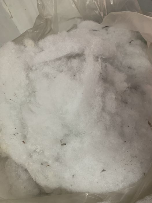 Мелений Синтепон