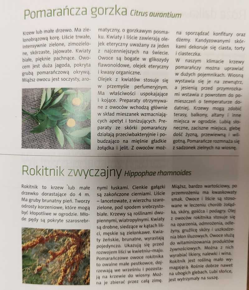 Zioła w ogrodzie ABC Ogrodnica Barbara Mika