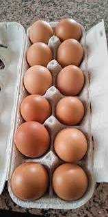 Ovos caseiros (tamanho M)
