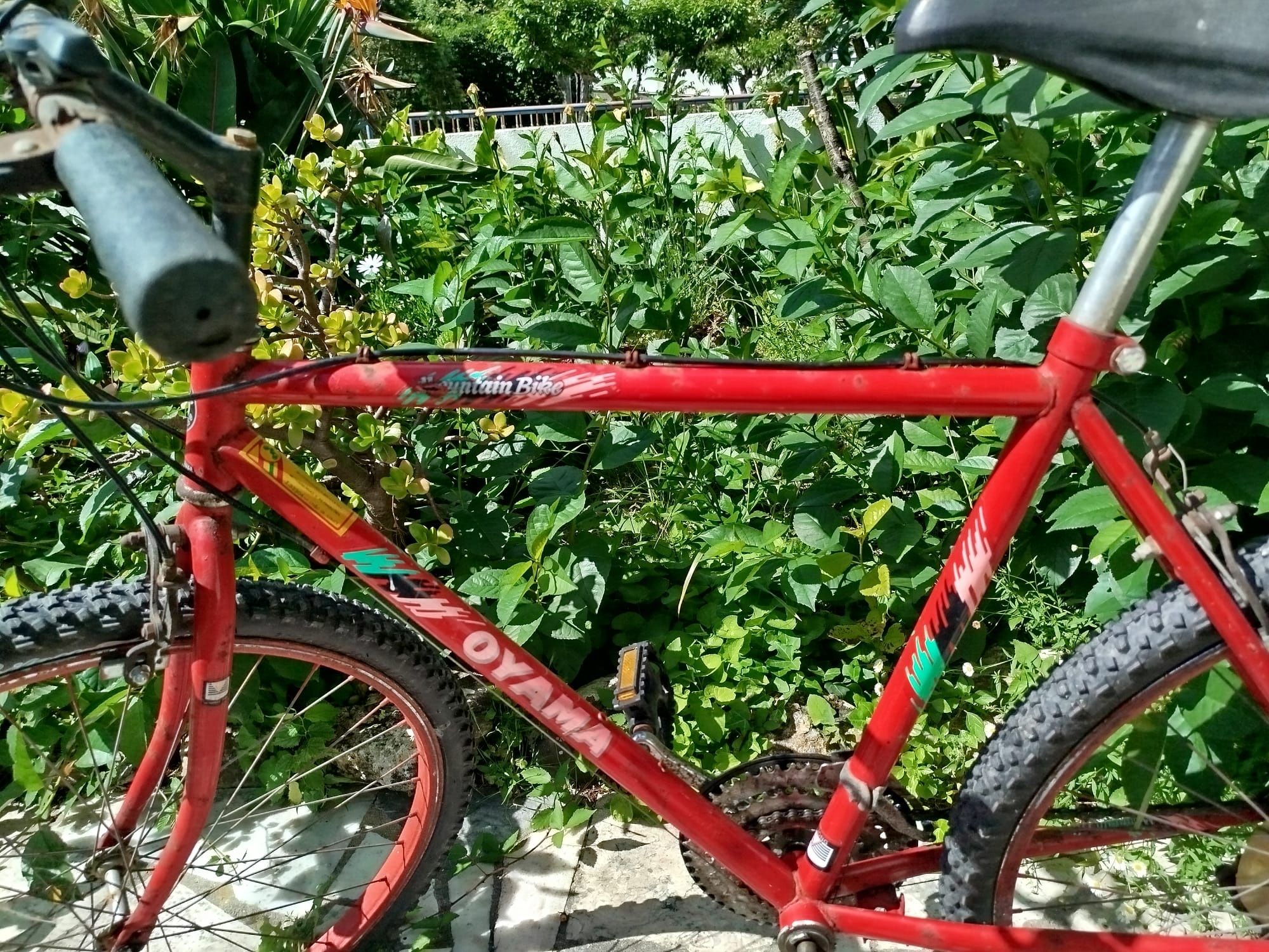 Bicicleta Mountain Bike