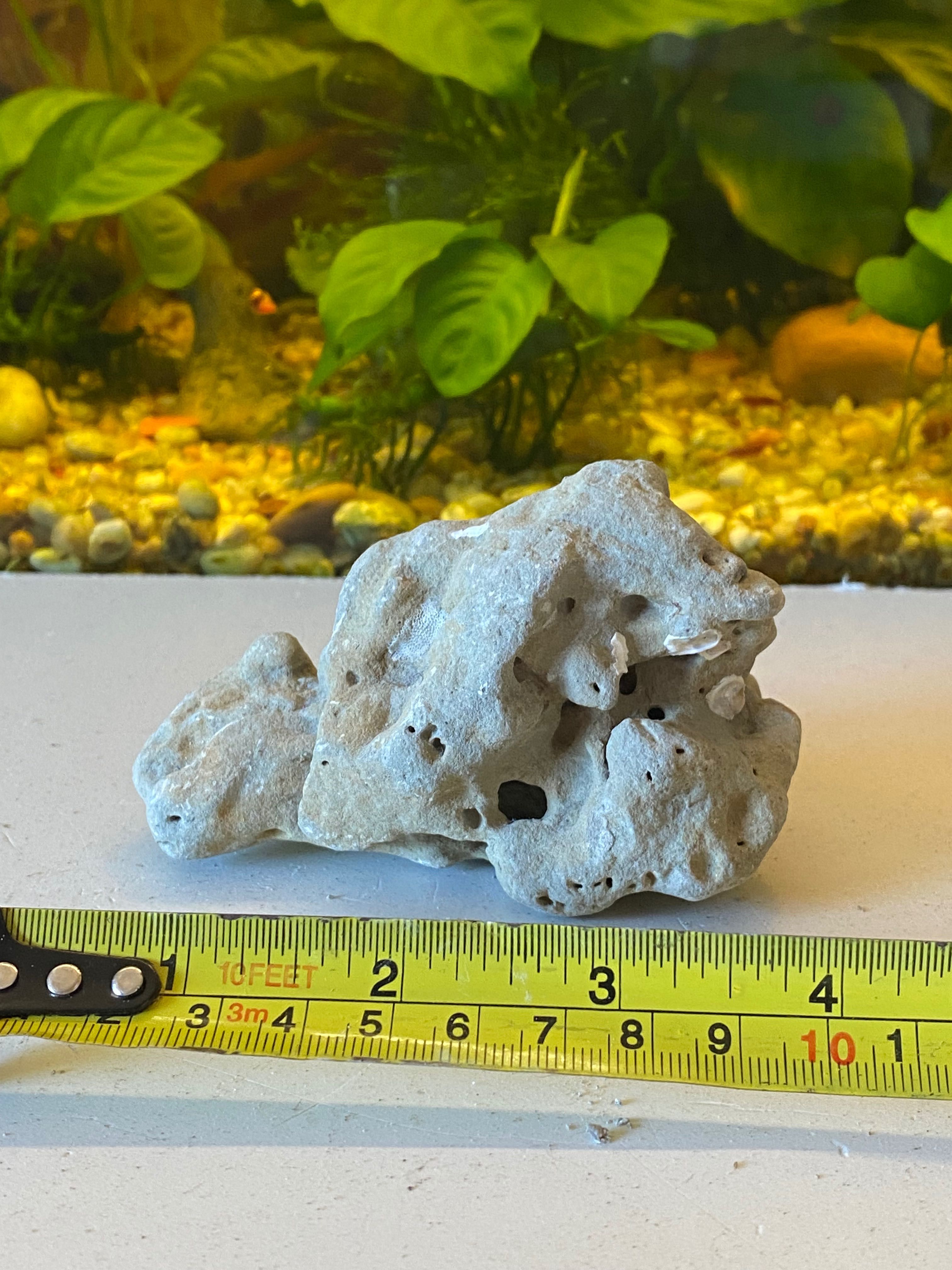 rochas naturais para aquário