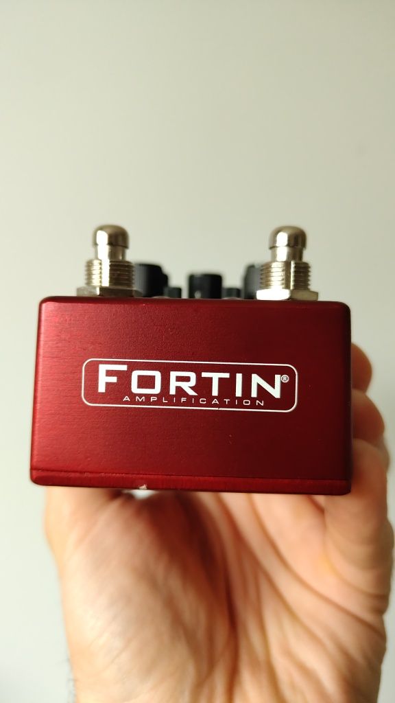 preamp Fortin NATAS (Ampeg VH140 / Ampeg SS150)