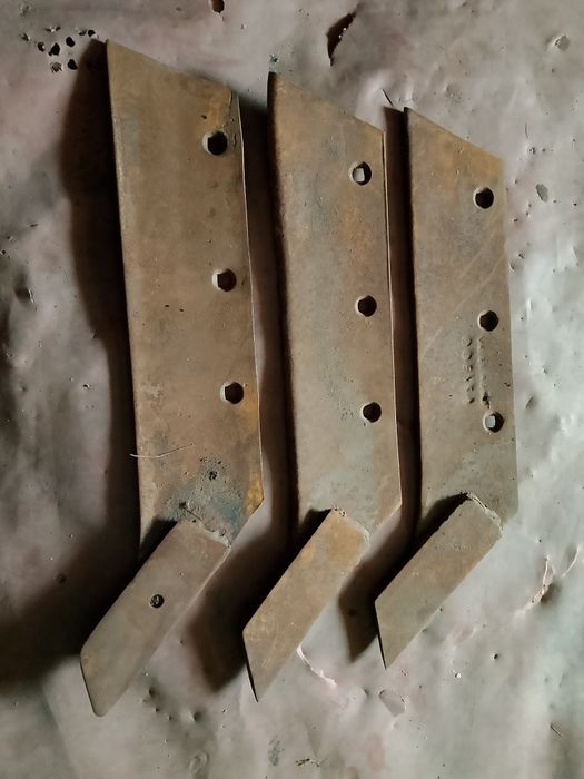 Борона зубова маленька райборінка