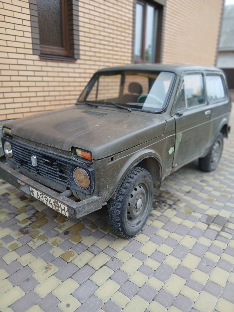 Нива вробочому стані