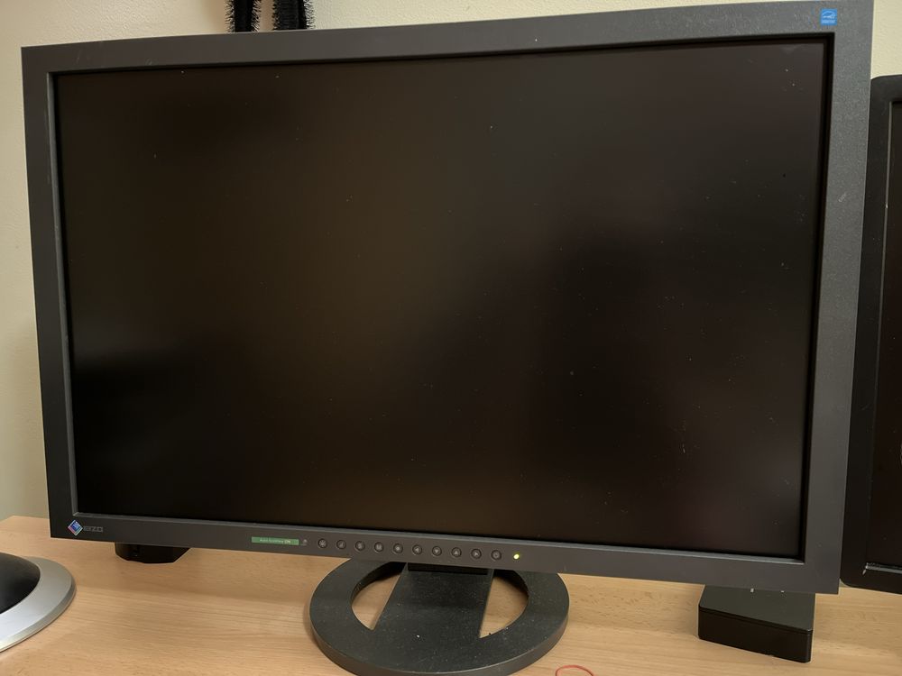 Monitor EIZO FlexScan 2402W graficzny 24 cale 1920x1200