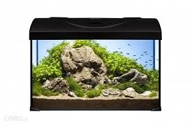 akwarium diversa startup 50 Led (50x25x30) komplet