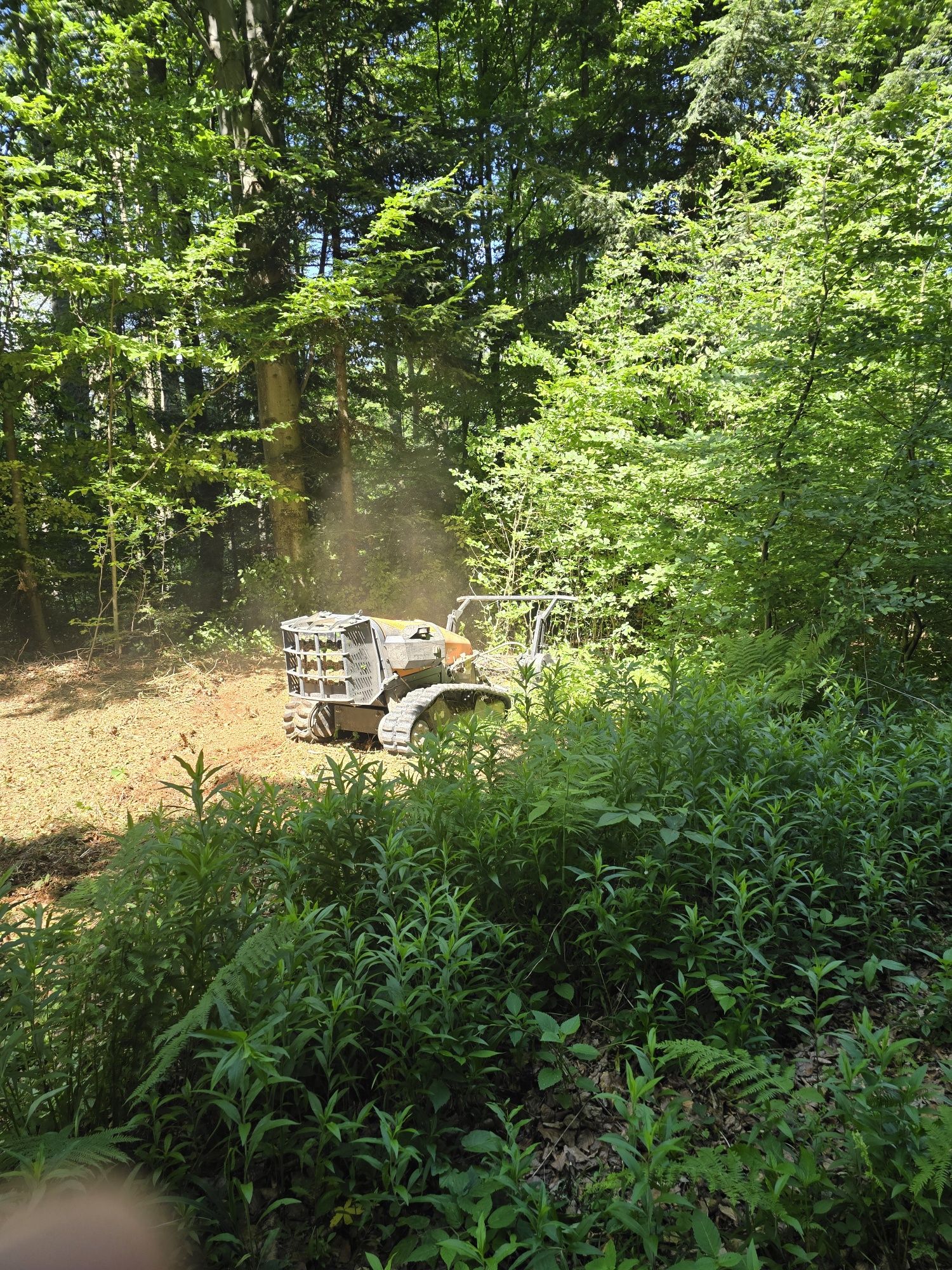 Mulczowanie, koszenie, odkrzaczanie robotem energreen