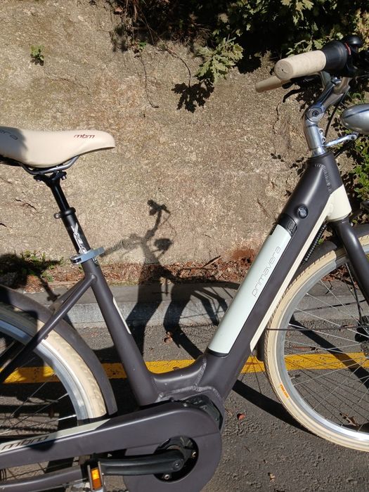 Bicicleta MBM primavera