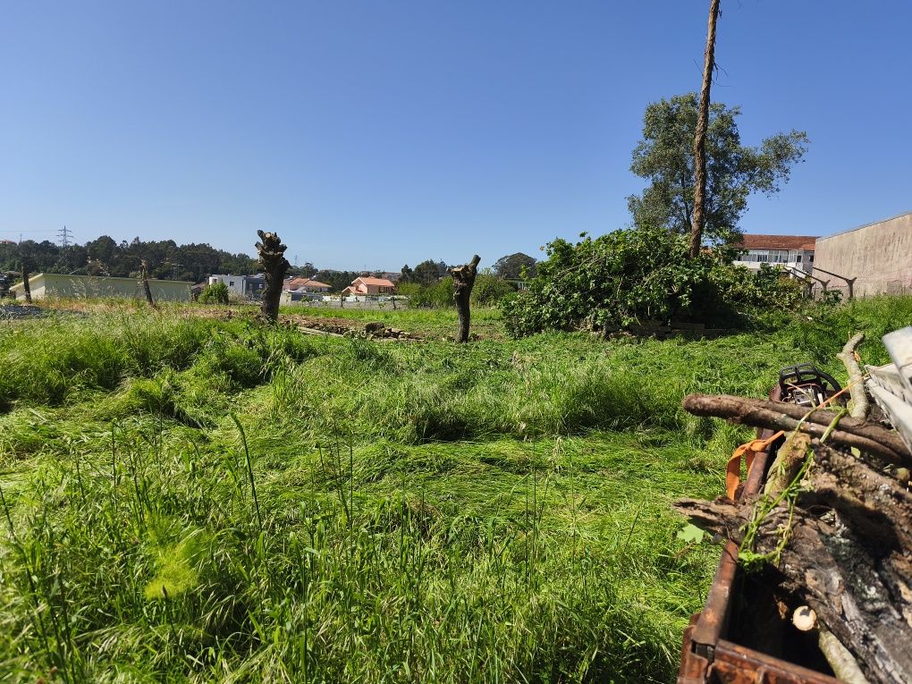 Limpeza de terrenos