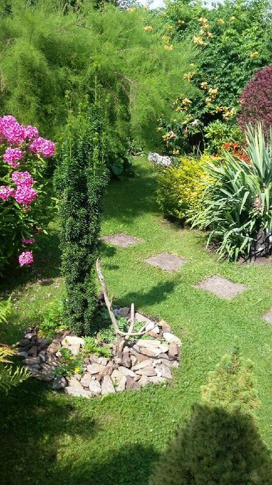 Pilnie sprzedam ogródek działkowy ROD RAJ