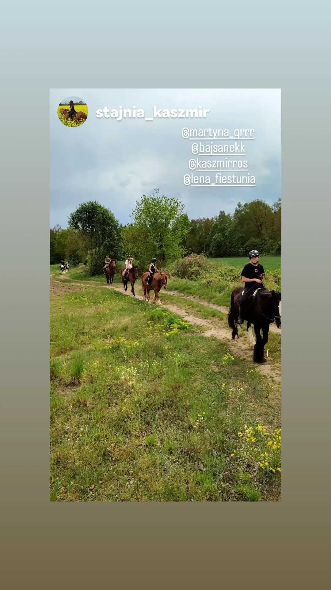 Wydzierżawię konie do jazdy, nauki