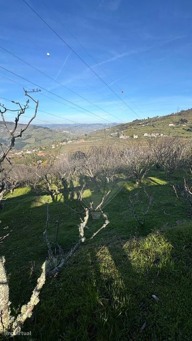 Terreno  para venda