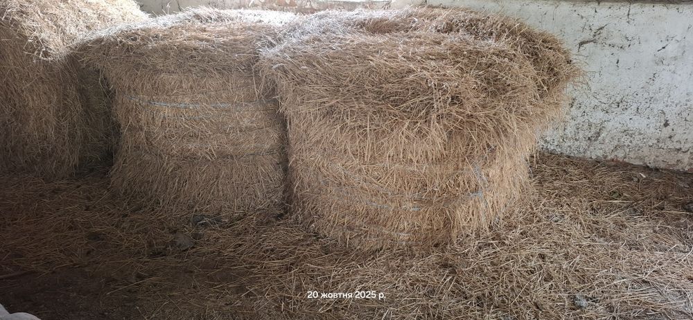 Солома вівсяна пшенична, сіно люцерна