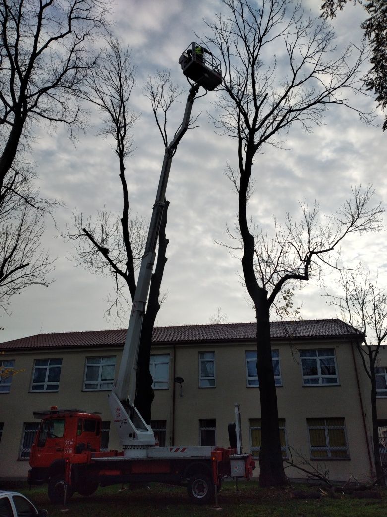 Wynajem podnośników koszowych (zwyżka), Mycie elewacjiiWycinka drzew,