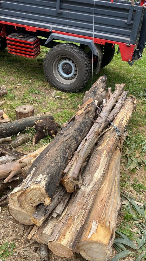 Grua para carinhas ao tratocarro ao reboque pequeno