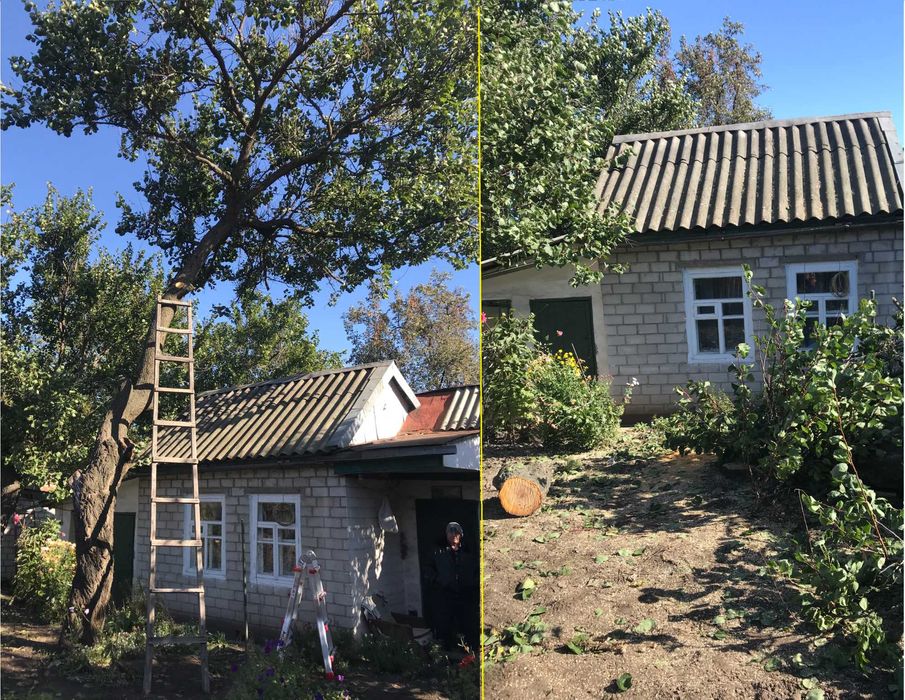 Обрезка деревьев Спил деревьв Обрезка сада Спил с вышки Вывоз Дробилка