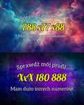 Złote numery 788x77x88 + xxx180888
