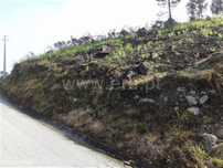 Terreno com 9.200 m2 em Cepães