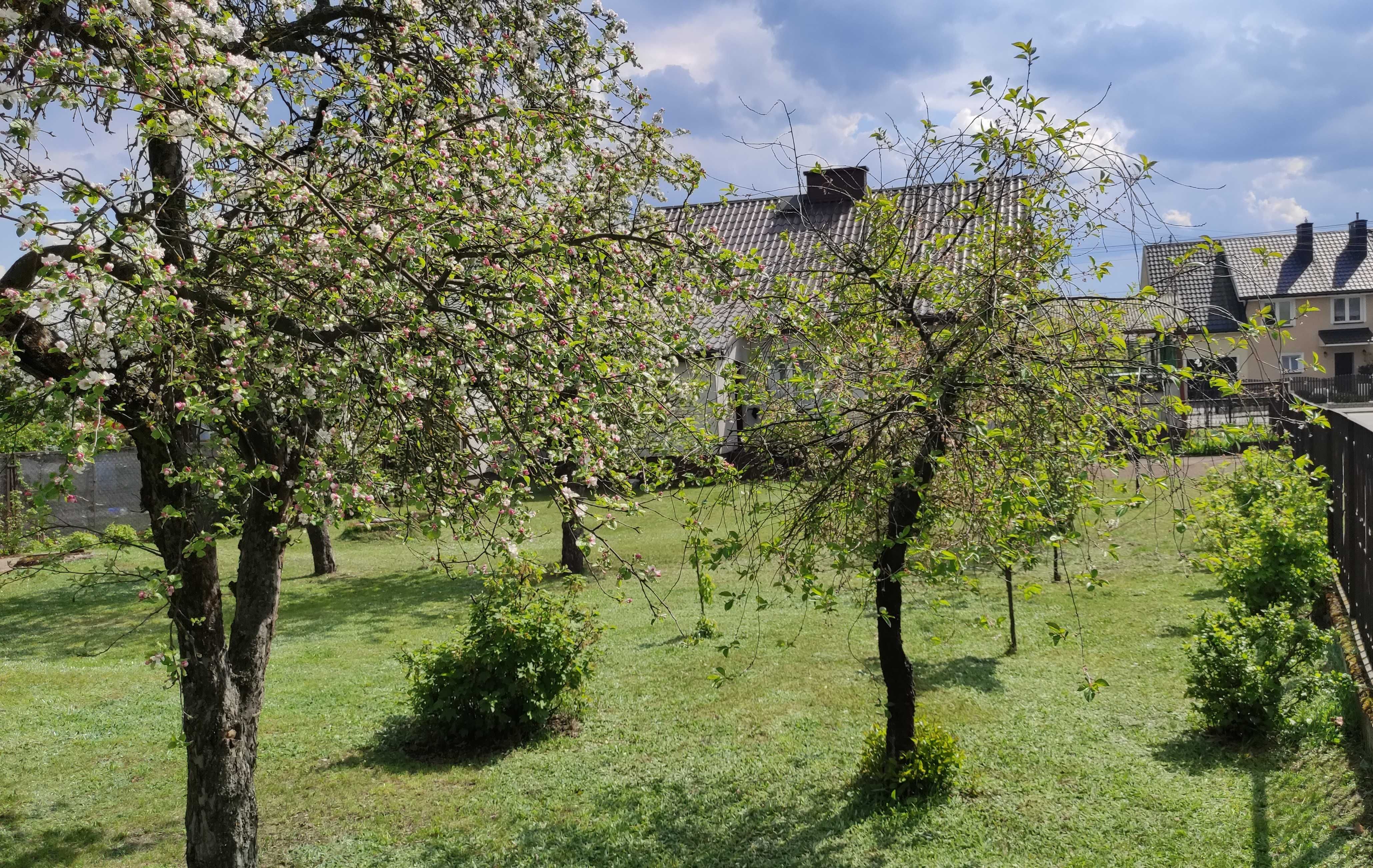 Sprzedam dom w Łysych