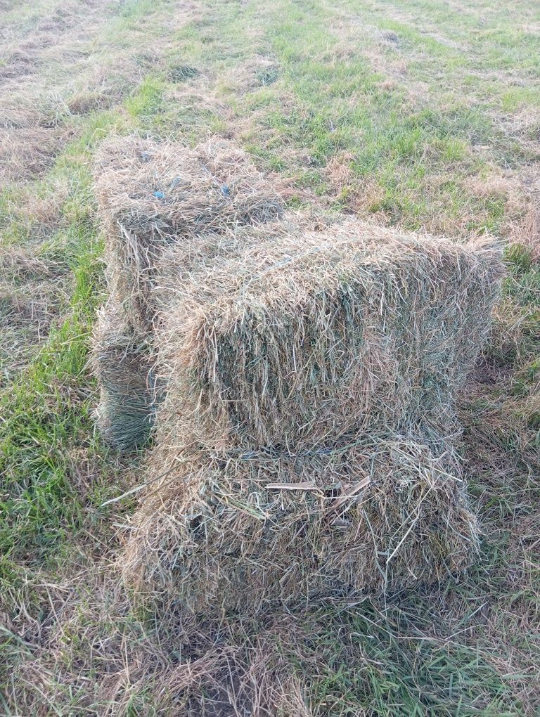 Сено луговое и солома в тюках