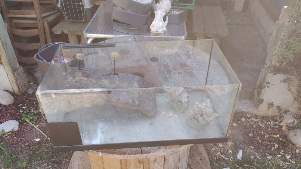 Vendo aquario para tartaruga