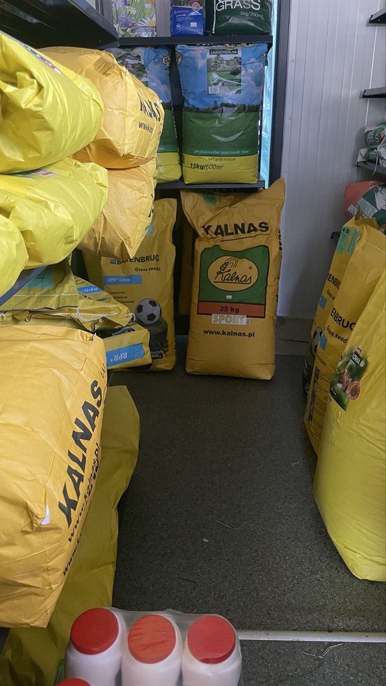 Trawa KALNAS nasiona na trawniki/ trawa nasiona/ mieszanki trawy TANIO