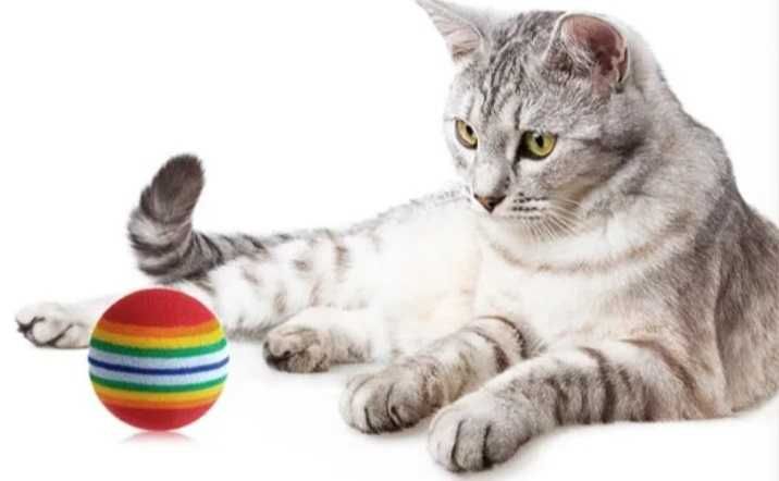 Игрушка мягкий мячик для кошки