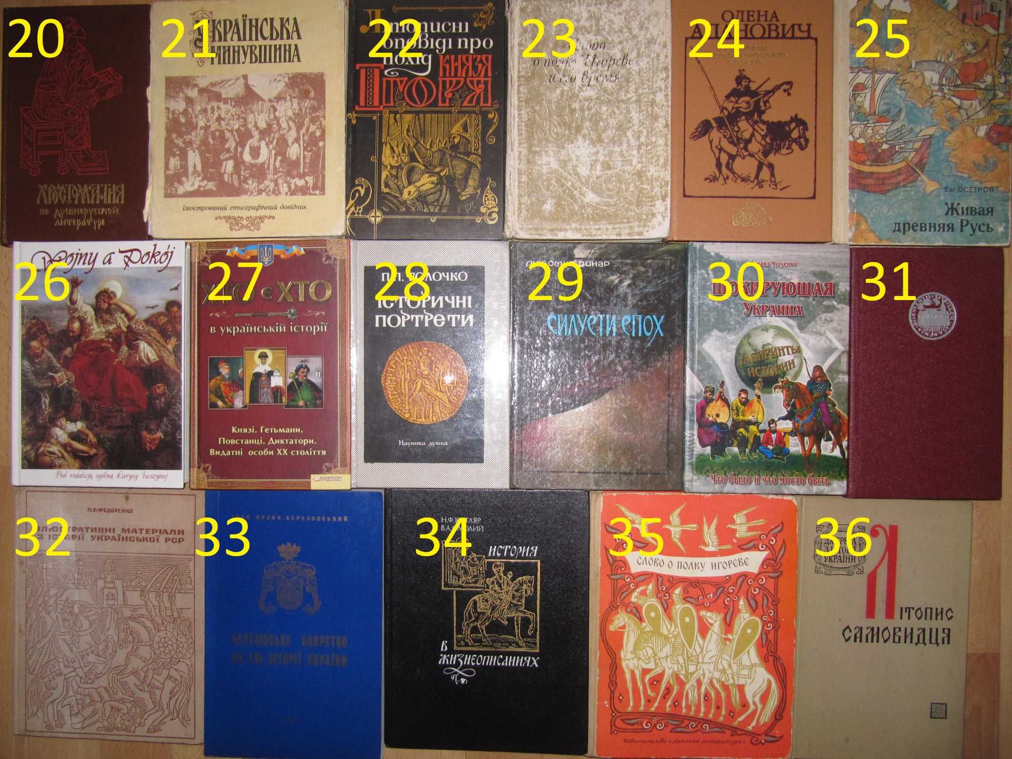 книги/стародавня історія України/Слово о полку Ігоревім/козаки/літопис